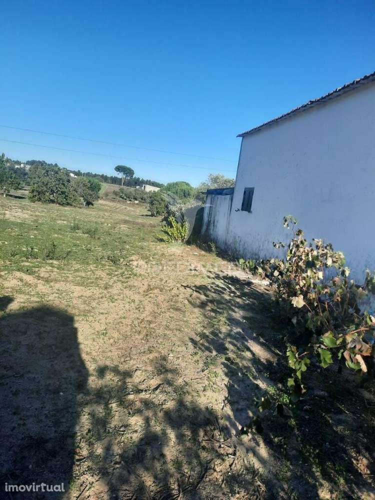 Terreno com 12177m2 - Grande imagem: 5/22