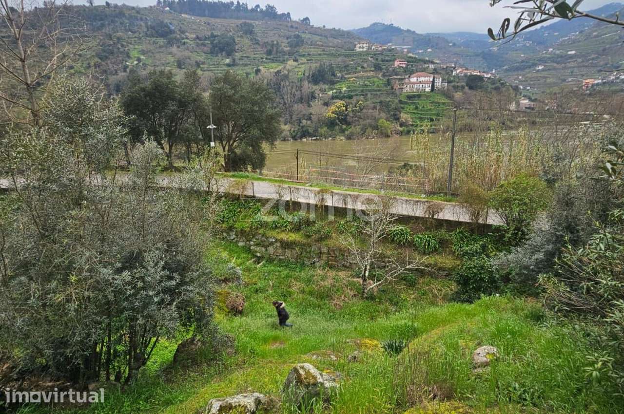 Quinta em Porto de Rei, Mesão Frio com vistas para o Douro. - Grande imagem: 5/16