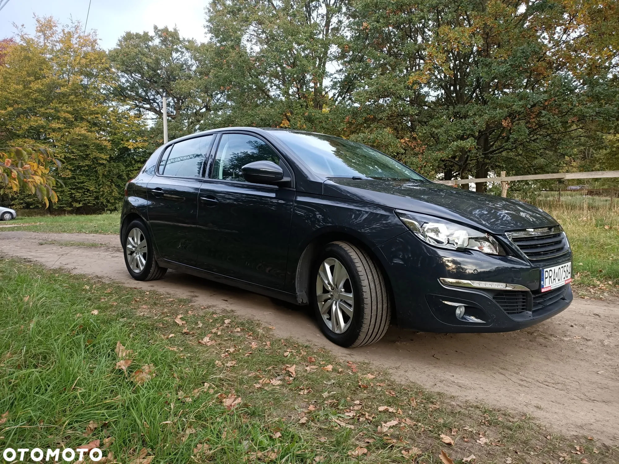 Peugeot 308 1.6 THP Active - 6
