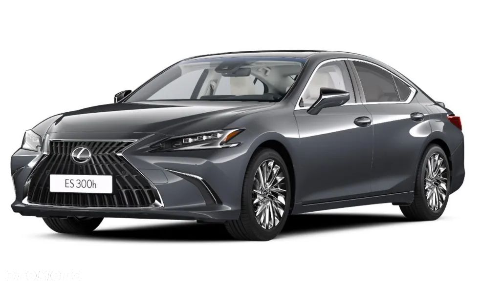 Lexus ES 300h Omotenashi - 2