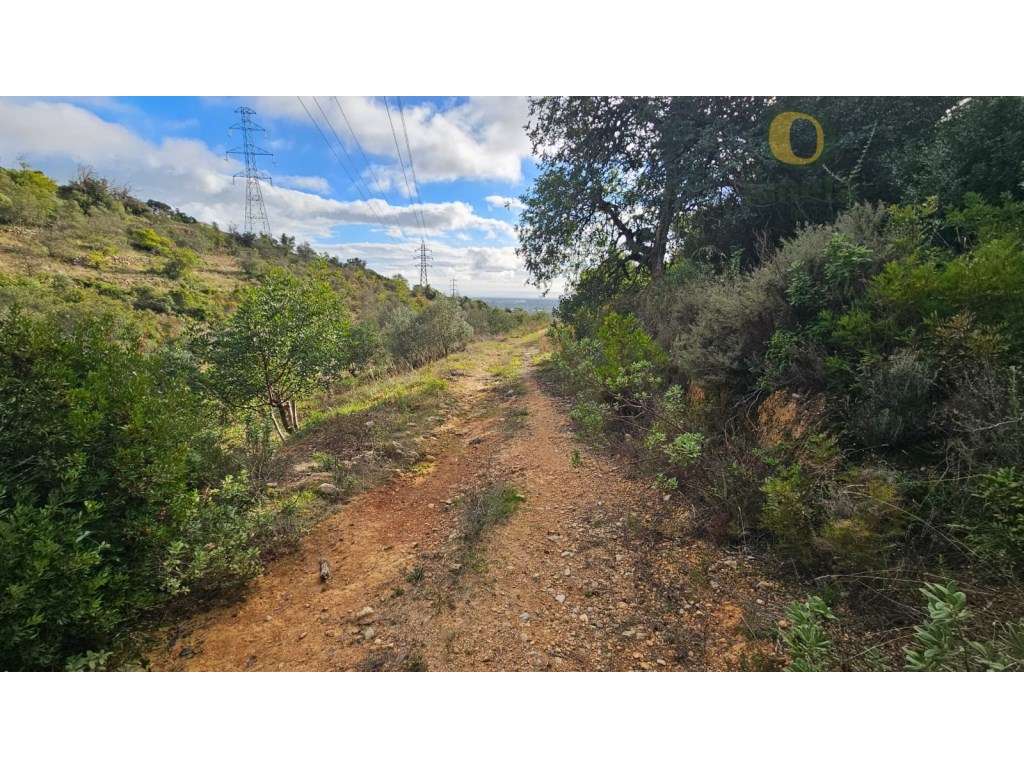 Terreno Rústico em Estoi com Poço - Grande imagem: 3/21