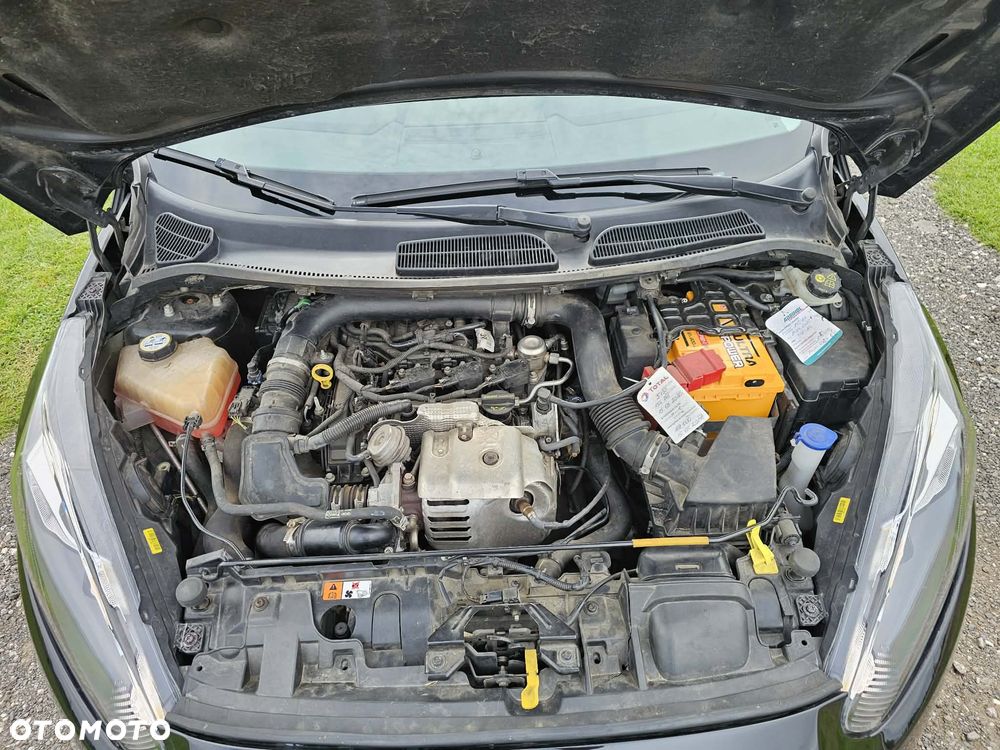Ford Fiesta - 14