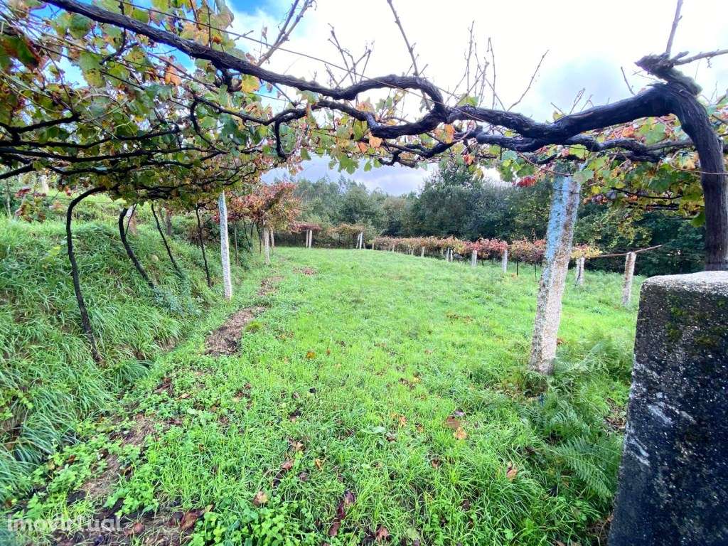 Terreno para construção - Grande imagem: 3/11