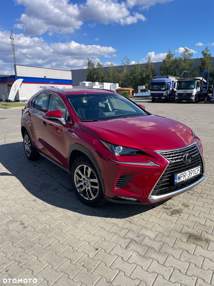 Lexus NX 300 Business Edition AWD - 1