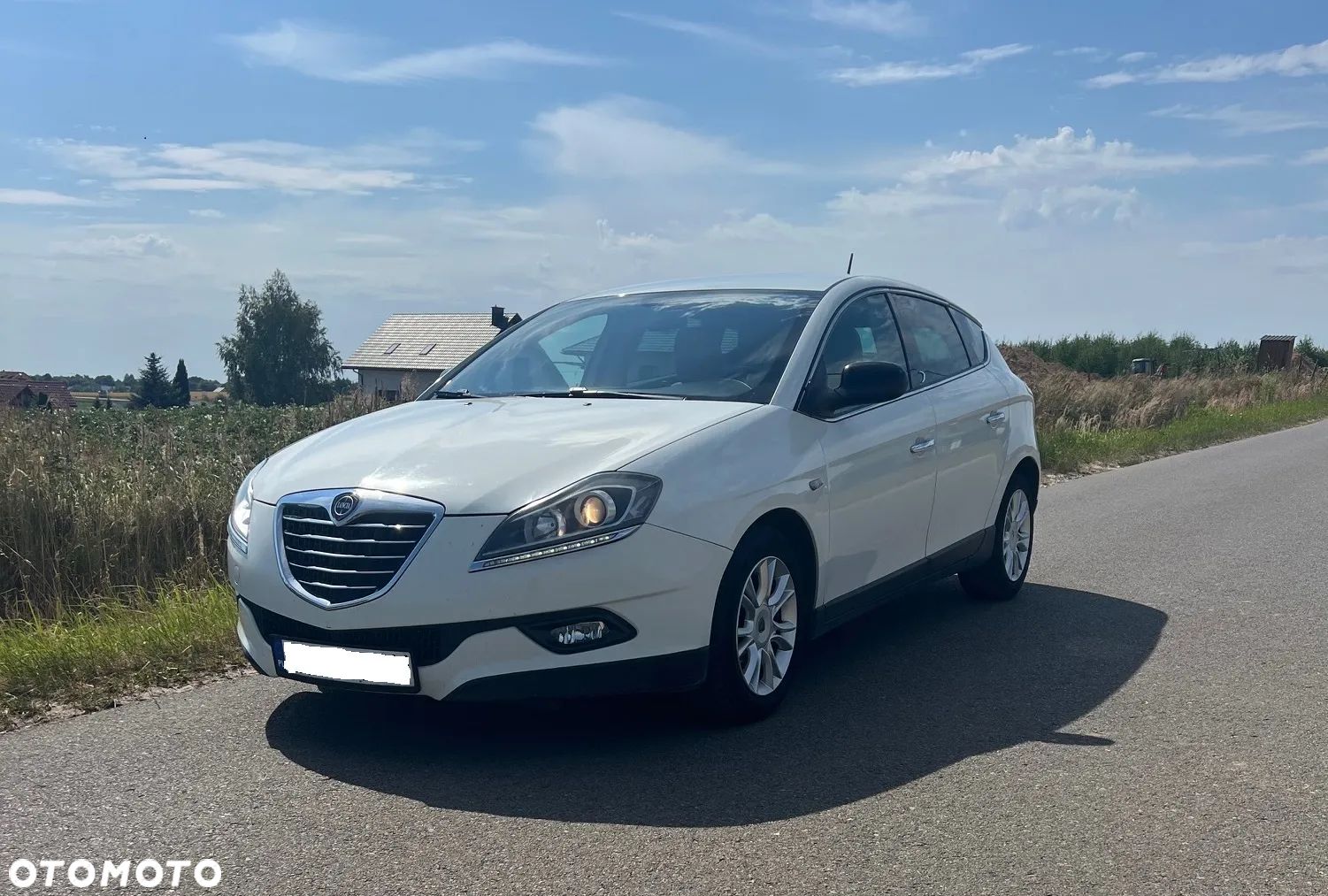Lancia Delta 1.6 MultiJet 16v Silver - 1
