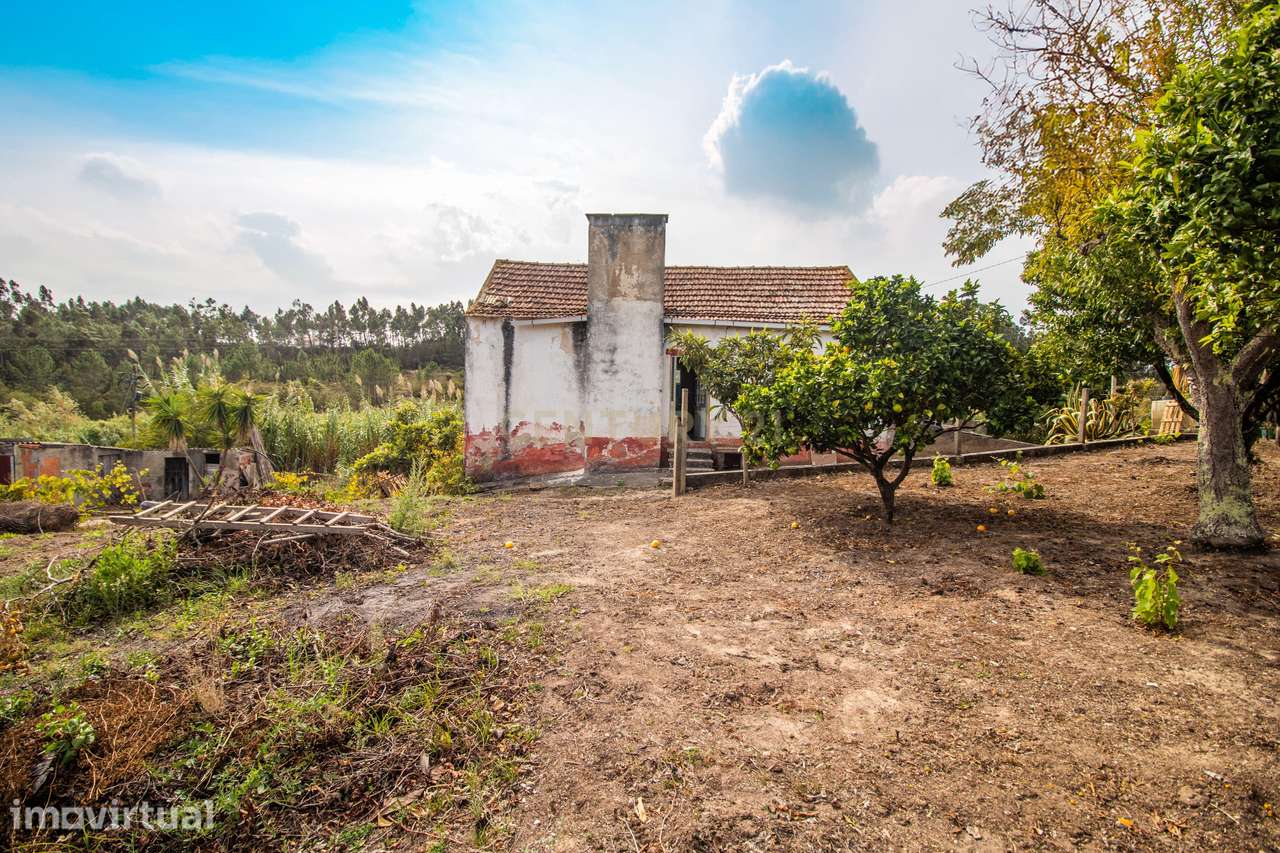 Casa antiga com terreno 2799m² na Figueira da Foz - Grande imagem: 3/40