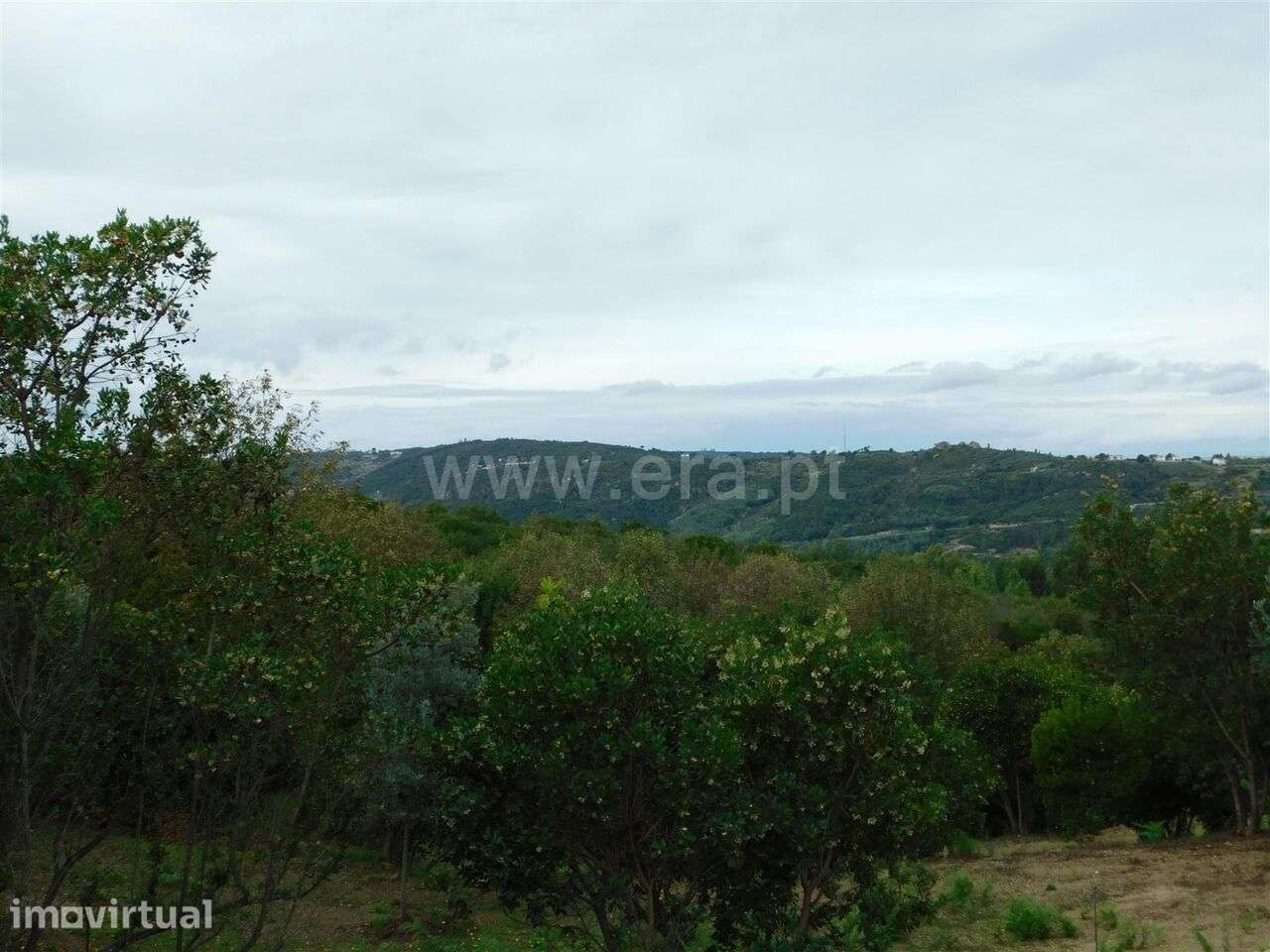 Terreno / Seia, Vila Cova à Coelheira - Grande imagem: 2/6
