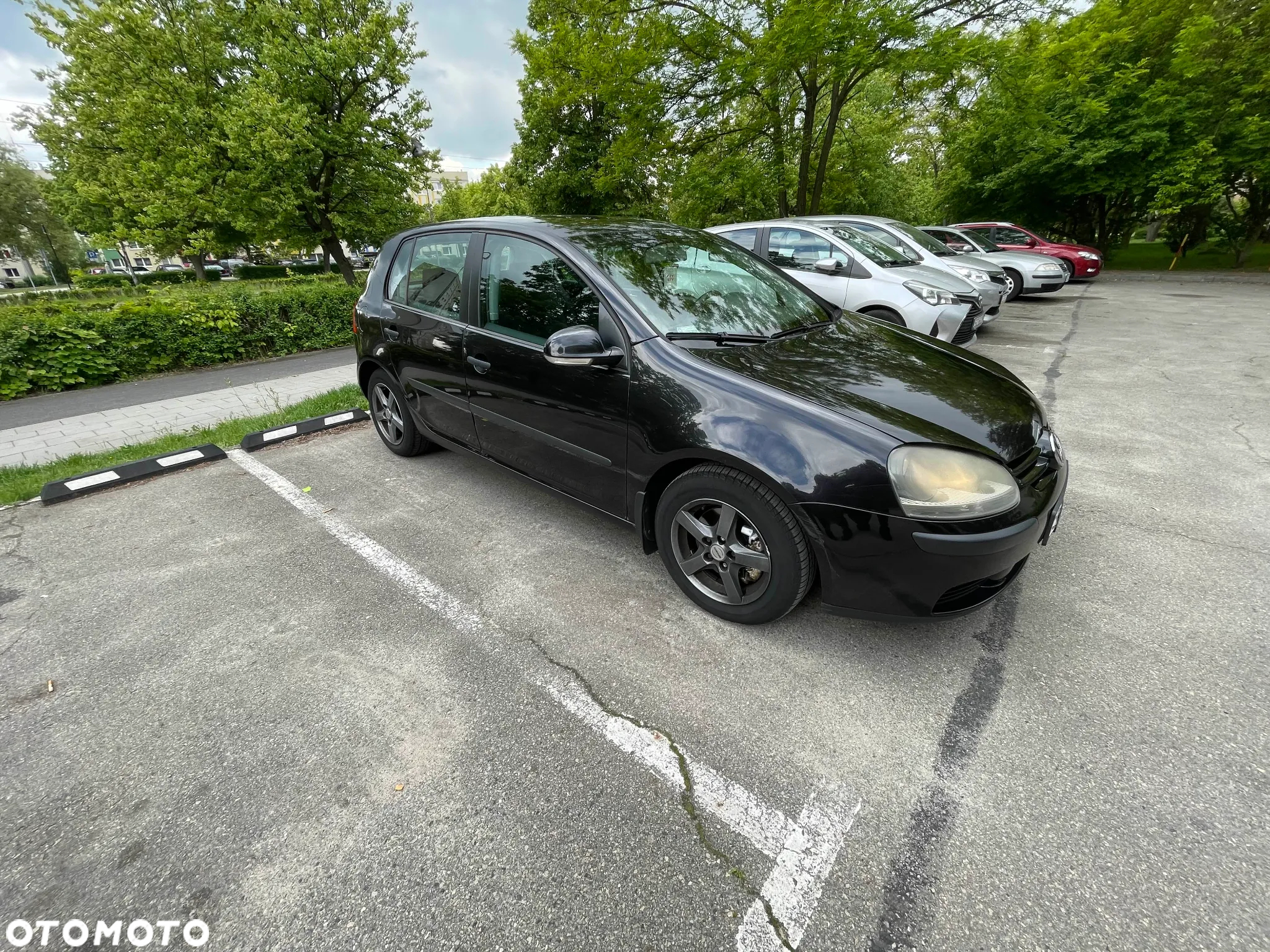 Volkswagen Golf - 22