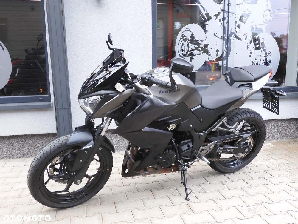 Kawasaki Z - 20