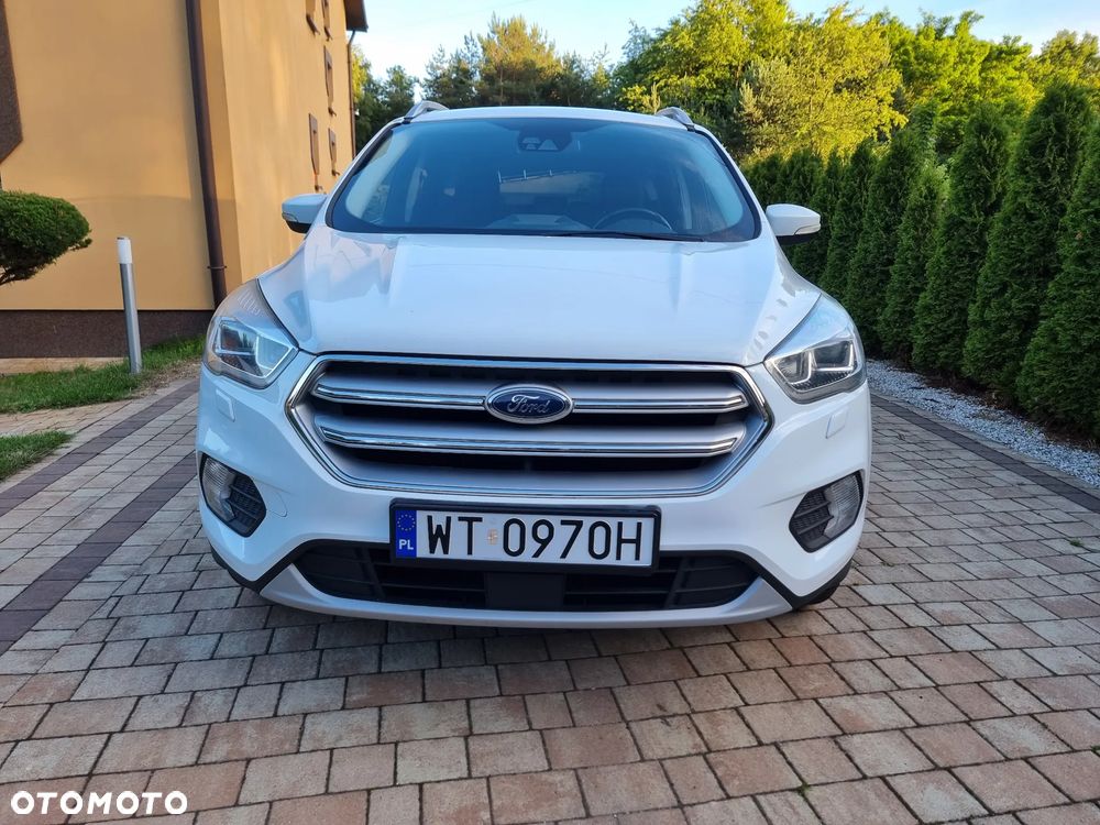 Ford Kuga 1.5 EcoBoost FWD Edition ASS MMT6 - 19