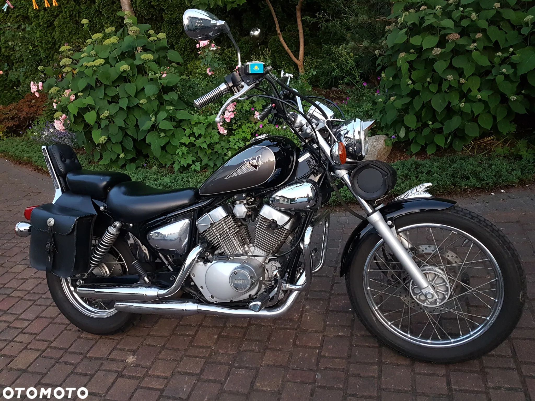 Yamaha Virago - 1