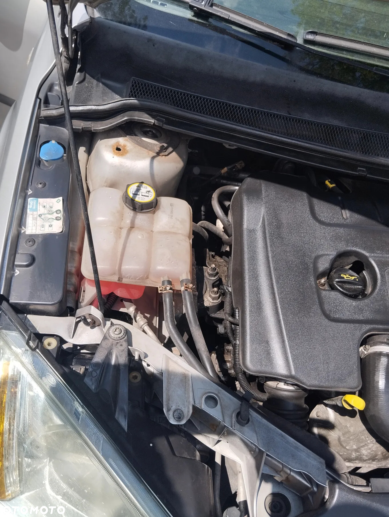 Ford Focus - 13
