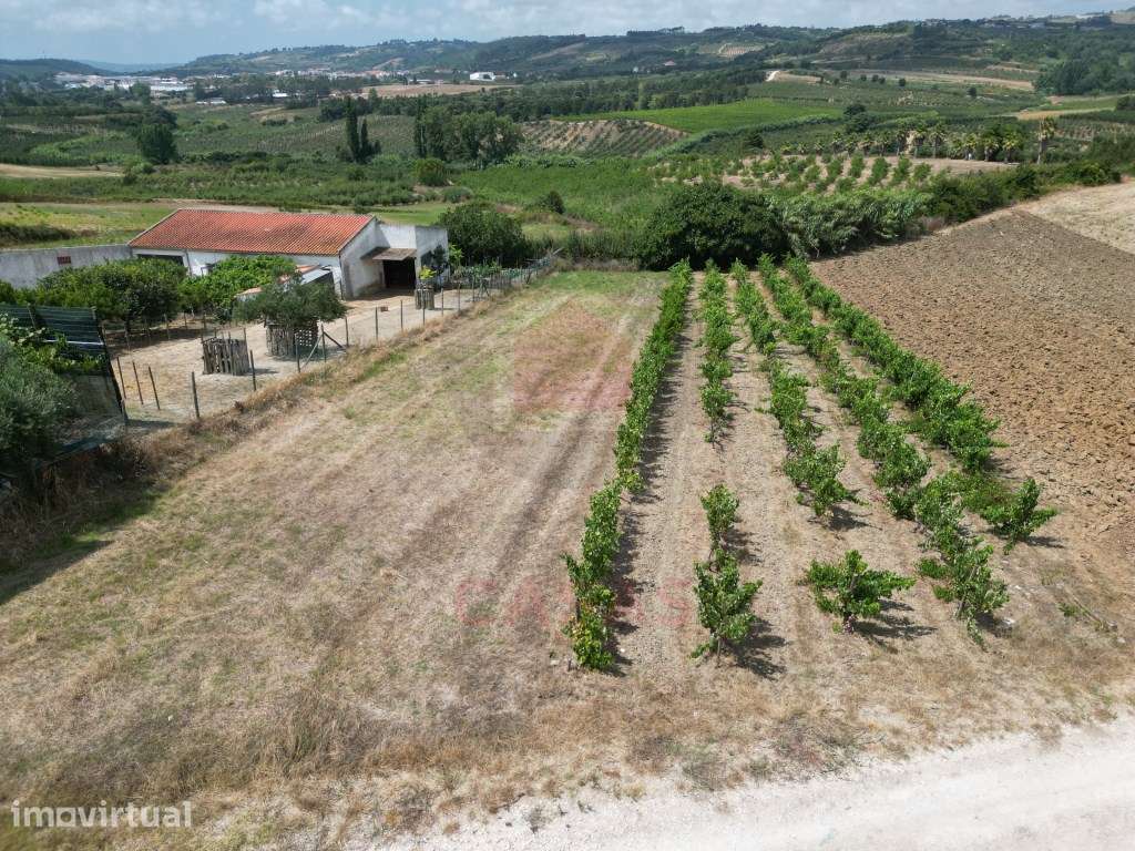 Terreno com Projeto Aprovado para Moradia T3 - Sobral do Parelhão - Grande imagem: 4/13
