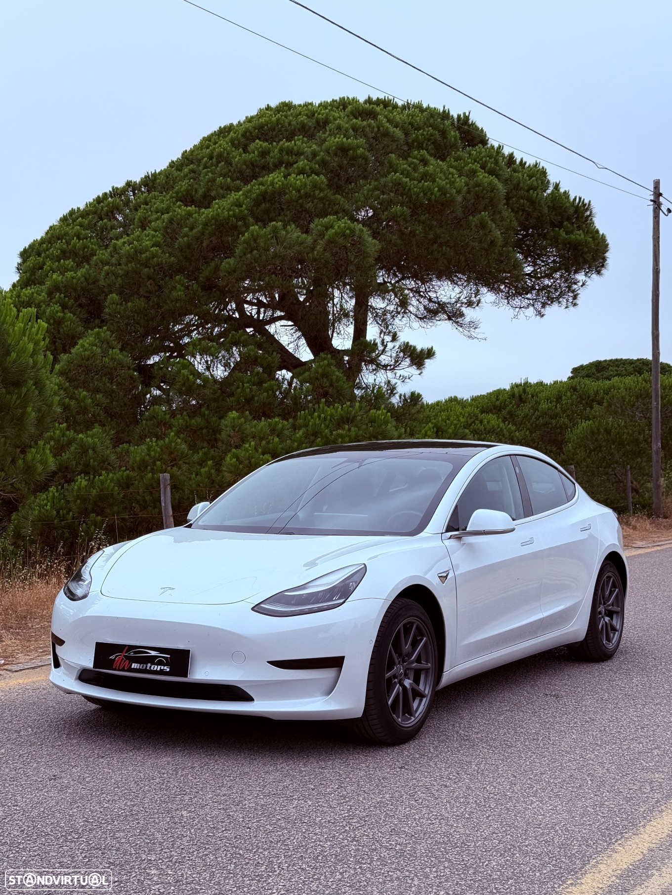 Tesla Model 3 Standard RWD Plus - 2