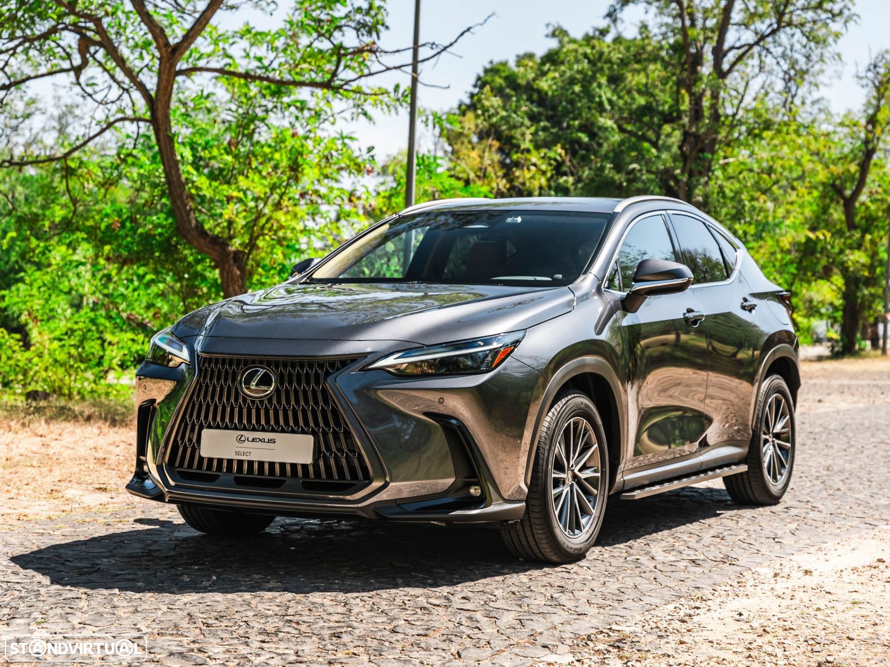 Lexus NX 450h+ - 1