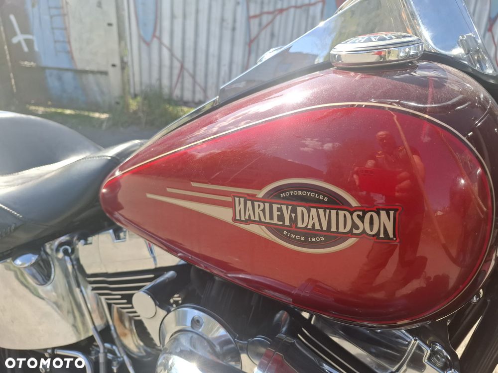 Harley-Davidson Softail Heritage Classic - 10