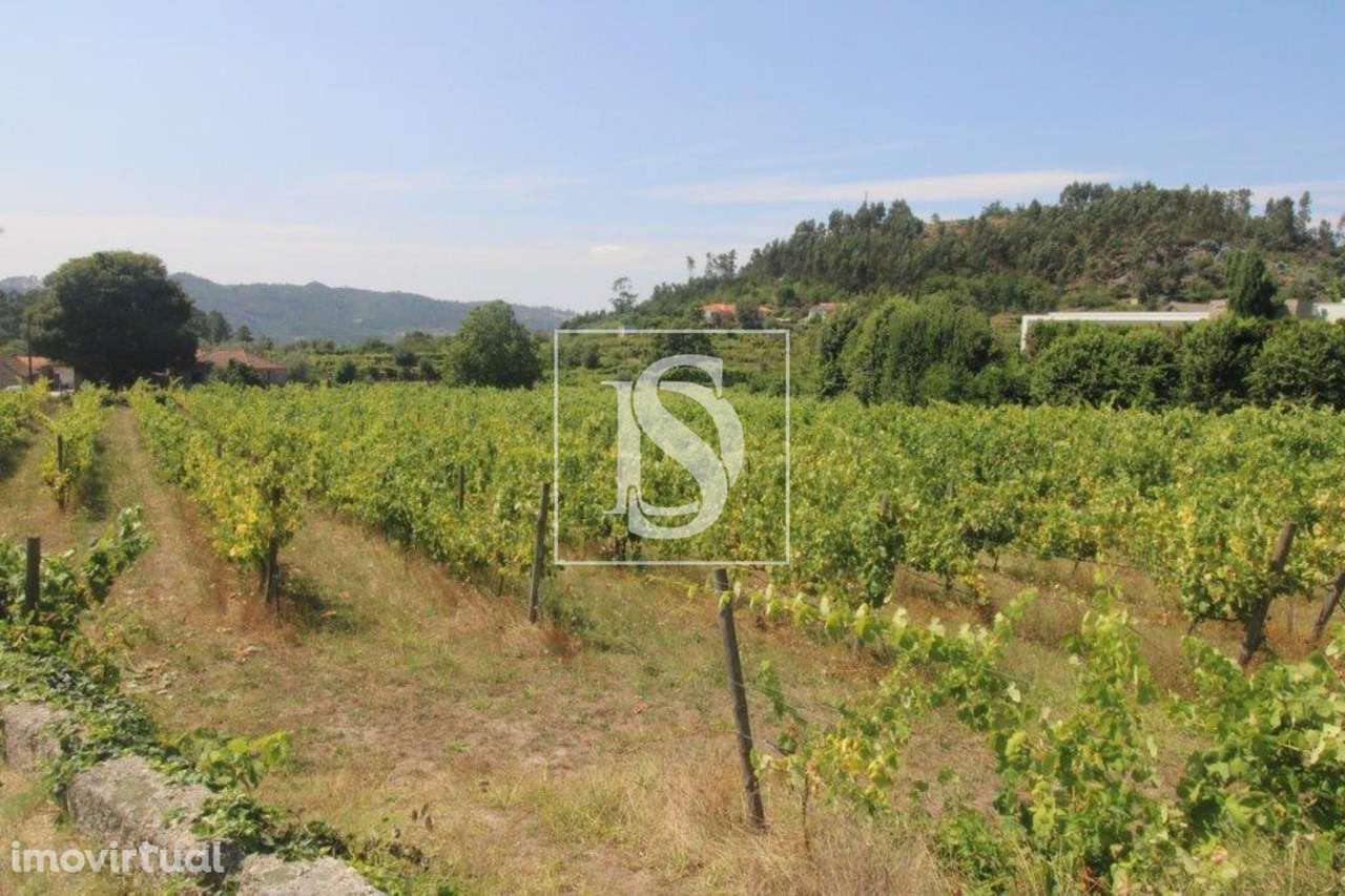 Terreno  Venda em Salvador do Monte,Amarante - Grande imagem: 2/10