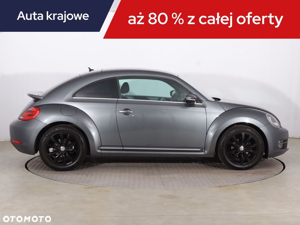 Volkswagen Beetle - 8