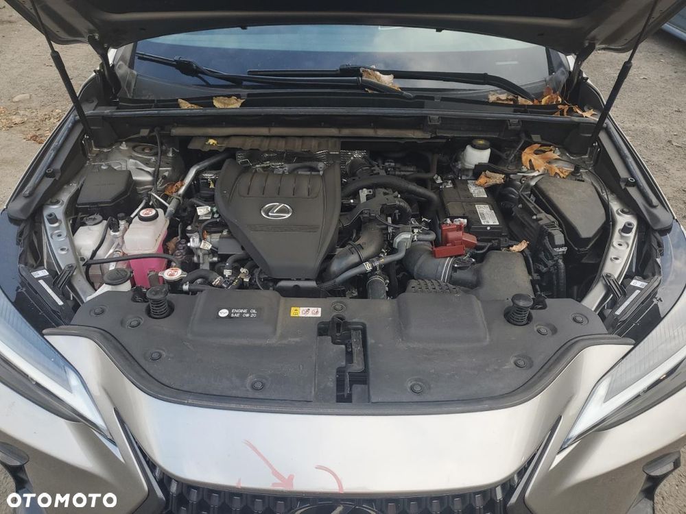 Lexus NX 300 AWD Luxury Line - 11