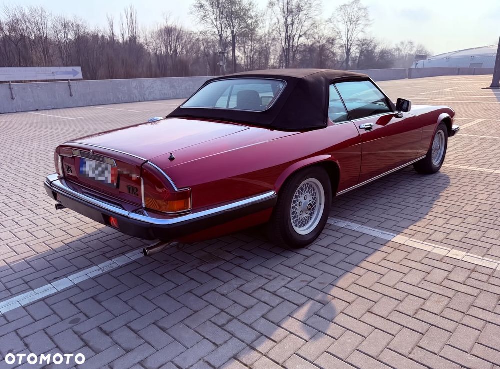 Jaguar XJS - 8