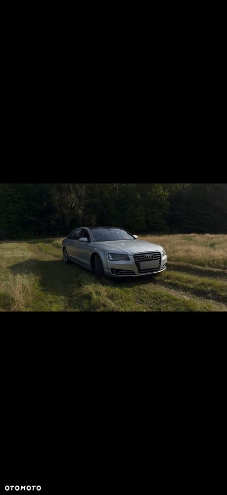 Audi A8 2010 photo 3