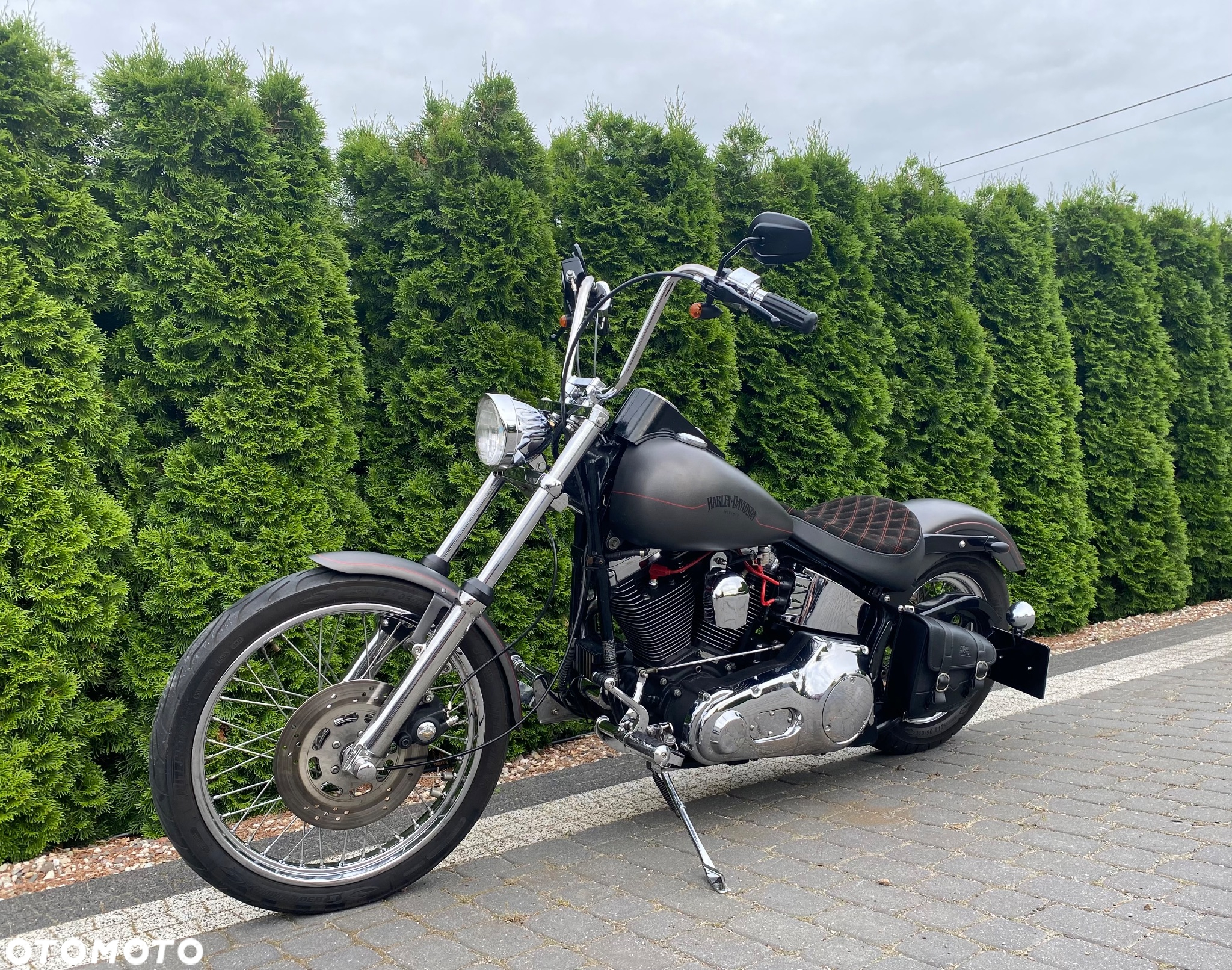 Harley-Davidson Softail Custom - 5