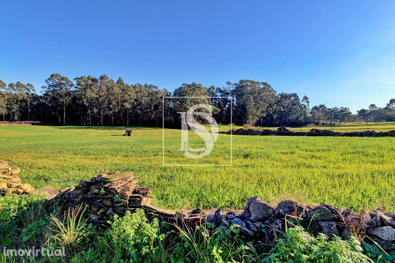 Terreno  Venda em Laundos,Póvoa de Varzim - Grande imagem: 3/4