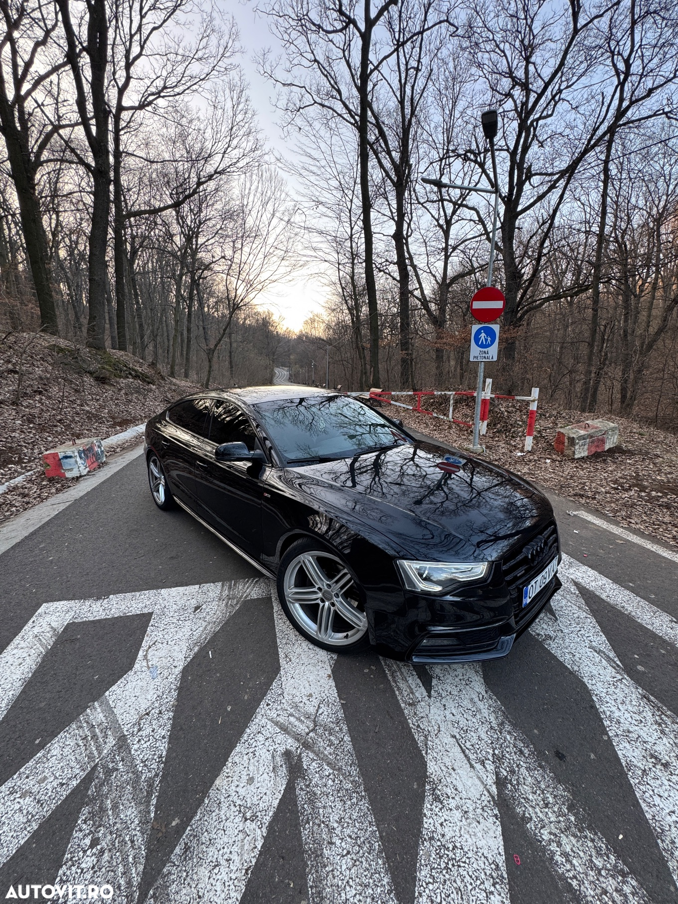 Audi A5 Sportback 3.0 TDI quattro Stronic - 5