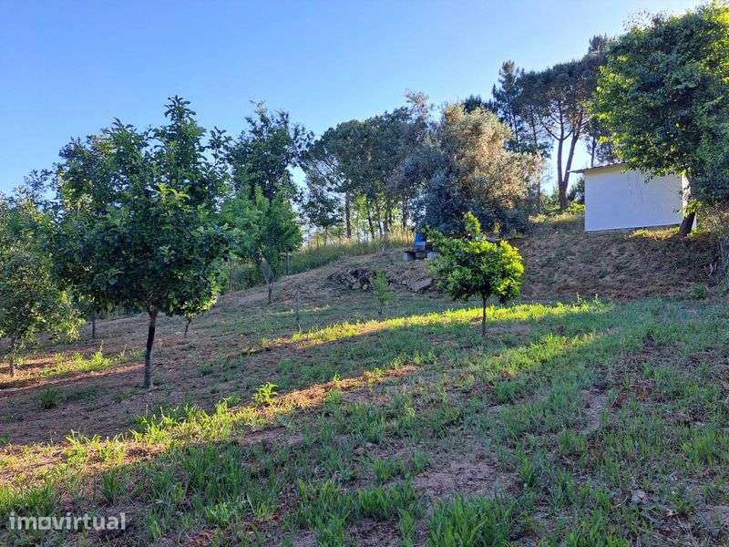Terreno Agricola - Grande imagem: 2/7
