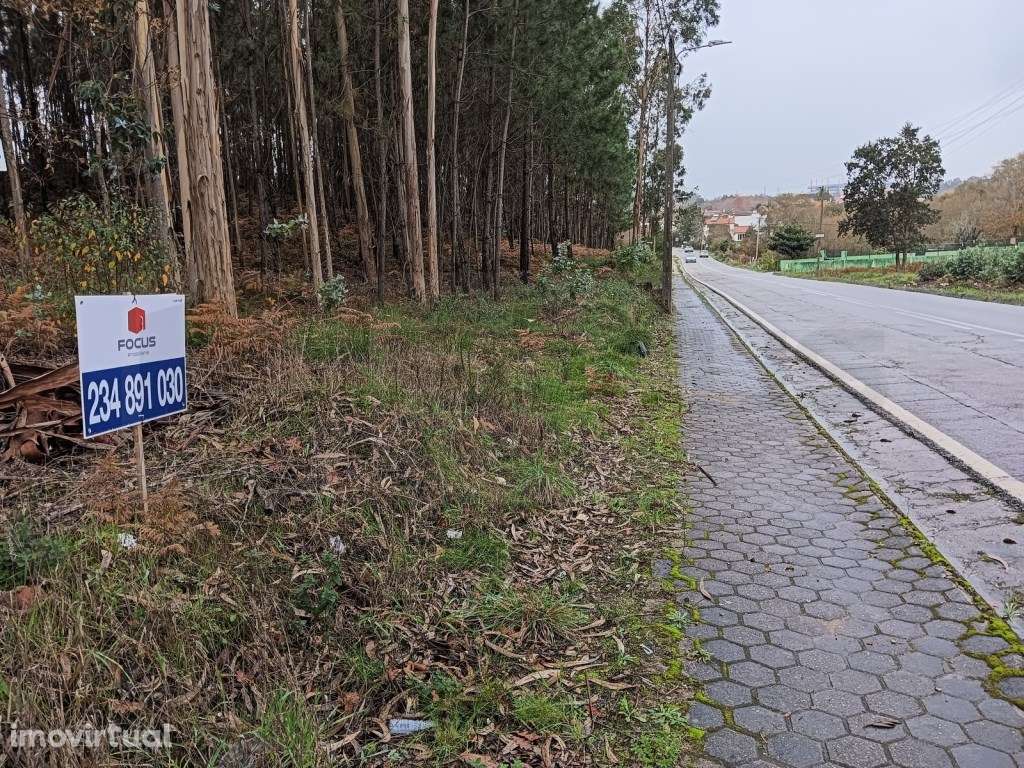Terreno com 90 m de frente - Aveiro - Grande imagem: 2/21