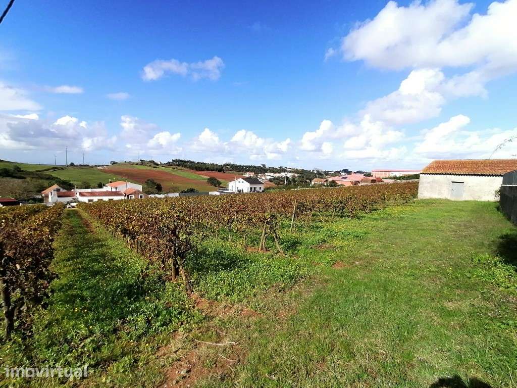 Terreno para construção de 7 moradias com belas vistas! - Grande imagem: 4/6