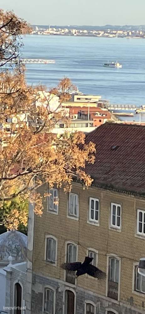 Apartamento T8, na Lapa, com vista rio e garagem - Grande imagem: 3/14