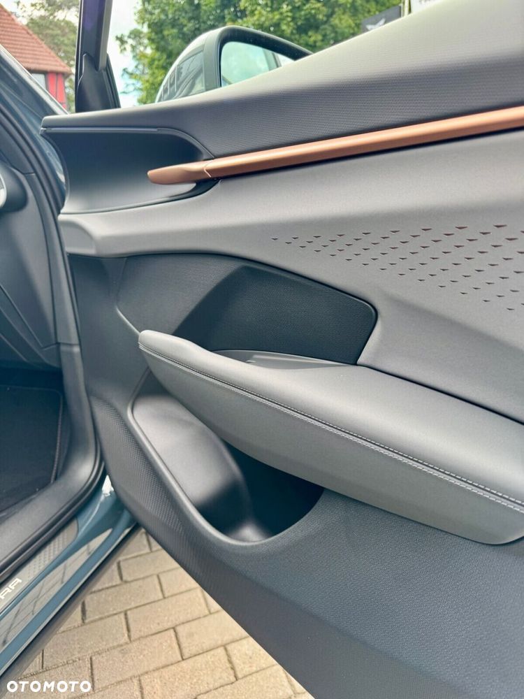 Cupra Terramar 2.0 TSI 4Drive DSG - 34