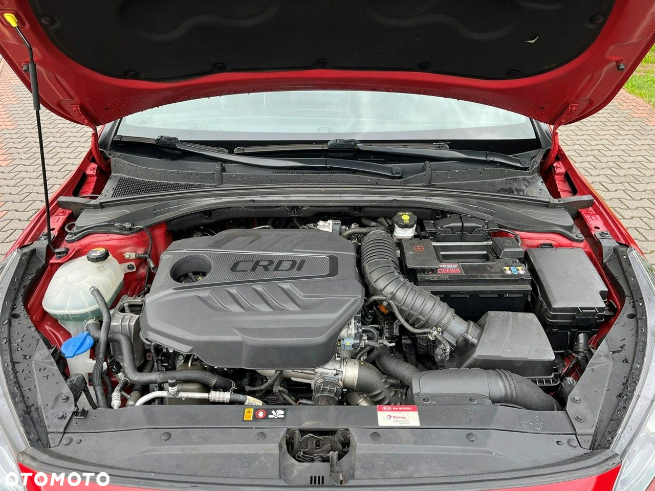 Kia ProCeed - 35