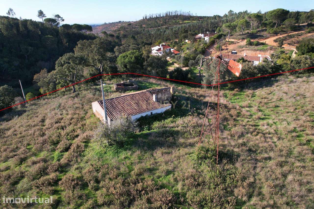 Quinta com ruína em S. Teotónio, Relva Grande - Grande imagem: 2/11