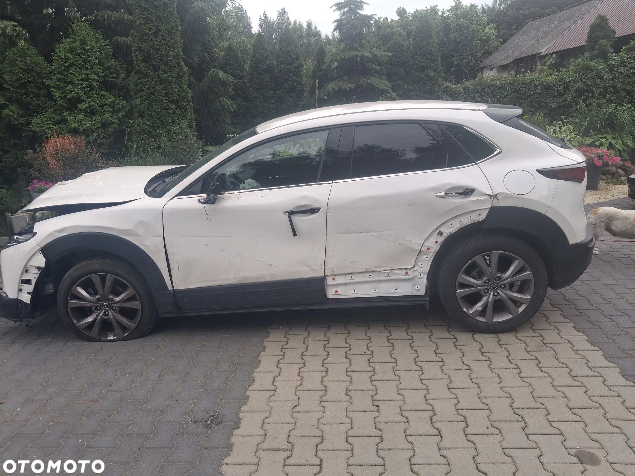 Mazda CX-30 2.0 mHEV Exclusive-Line 2WD - 1