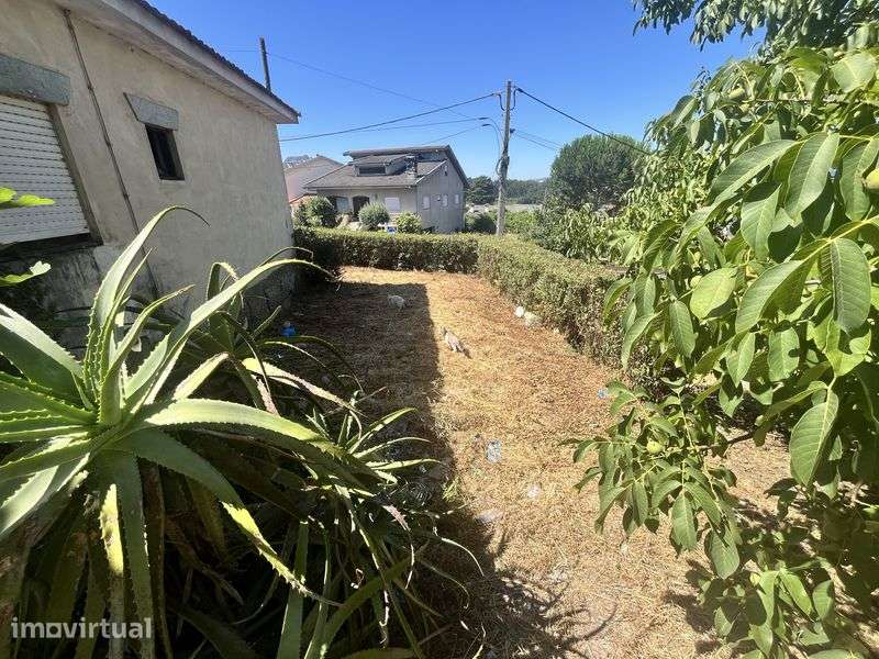 Moradia T2 para remodelar com 1500m2 de terreno - Grande imagem: 3/10