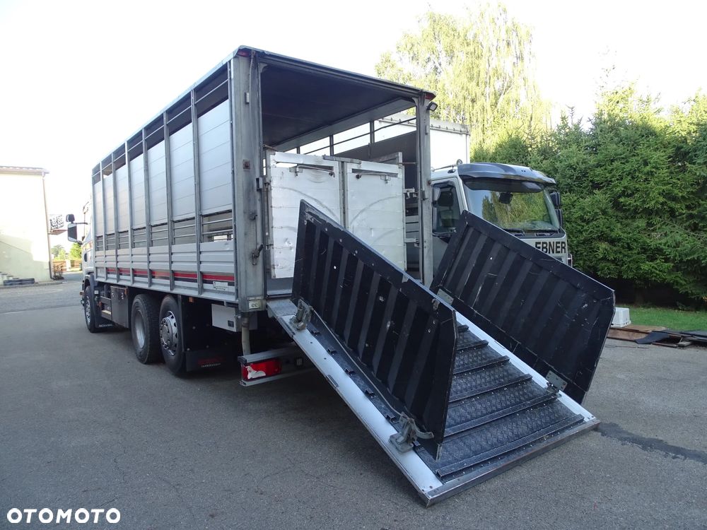 MAN TGX 18.400 DO ŻYWCA / ZWIERZĄT / BYDŁA / Z NIEMIEC / - 4
