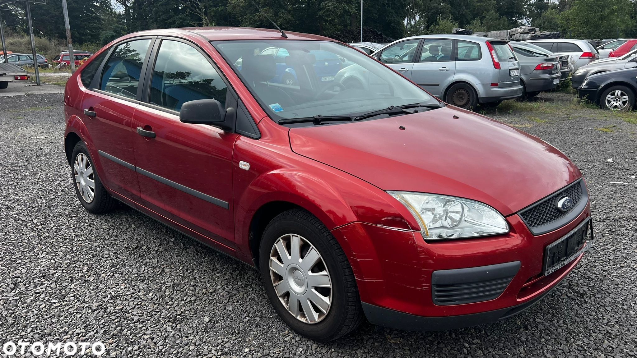 Ford Focus - 1