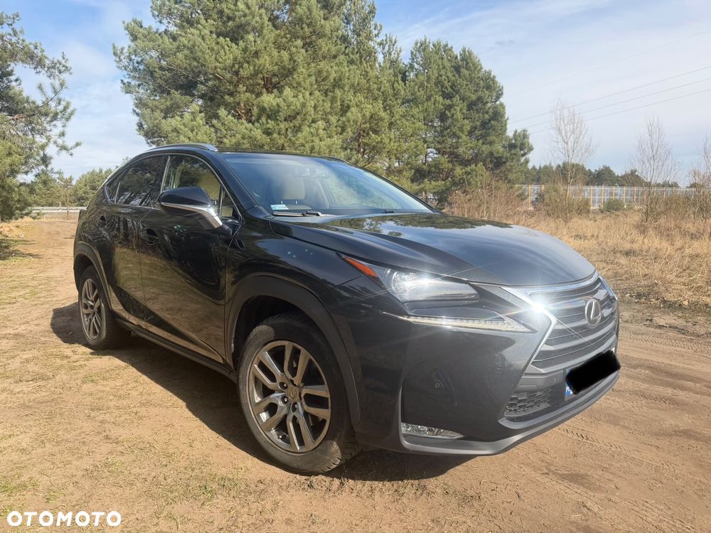 Lexus NX 200t Comfort AWD - 7