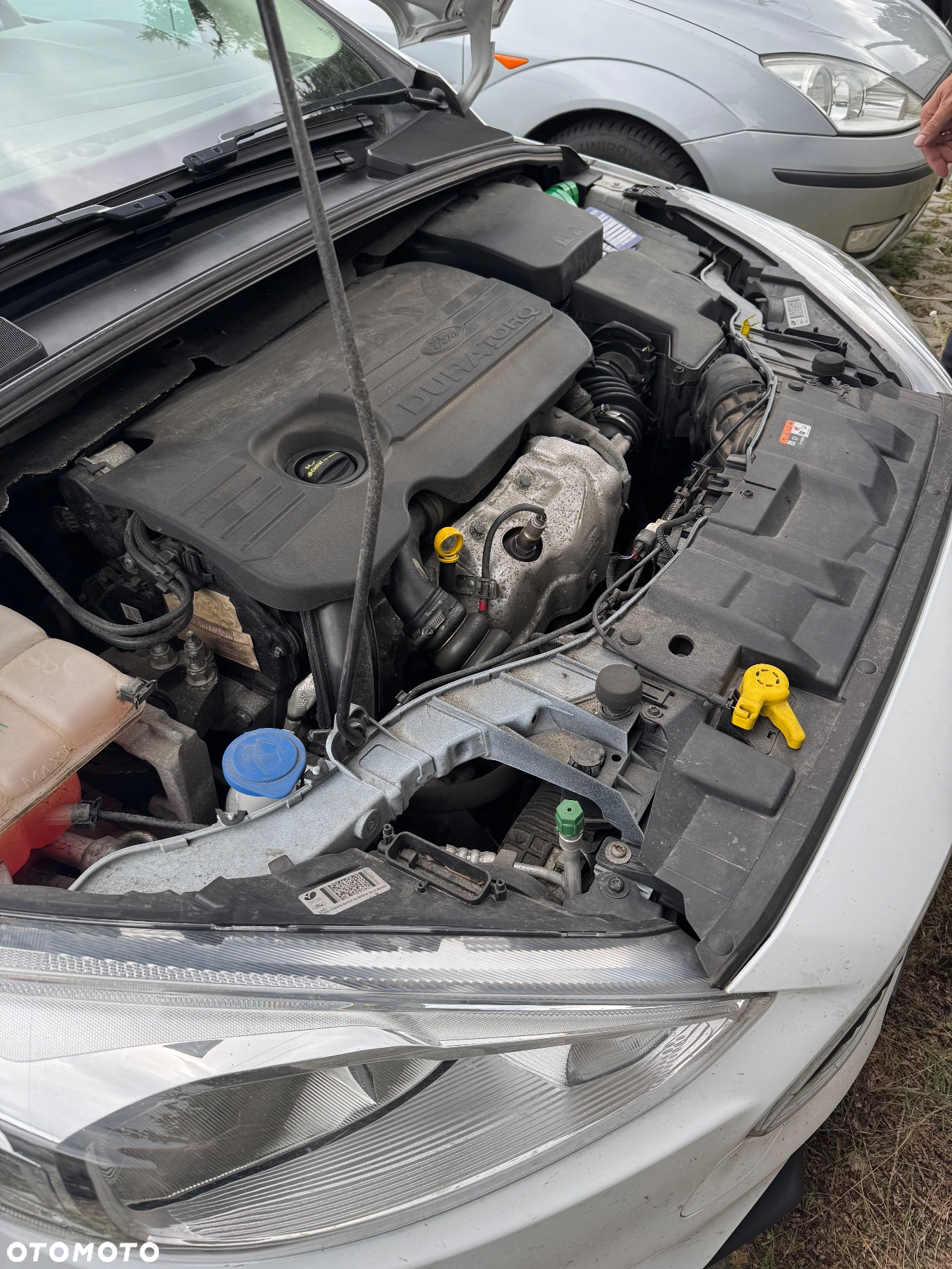 Ford Focus - 4