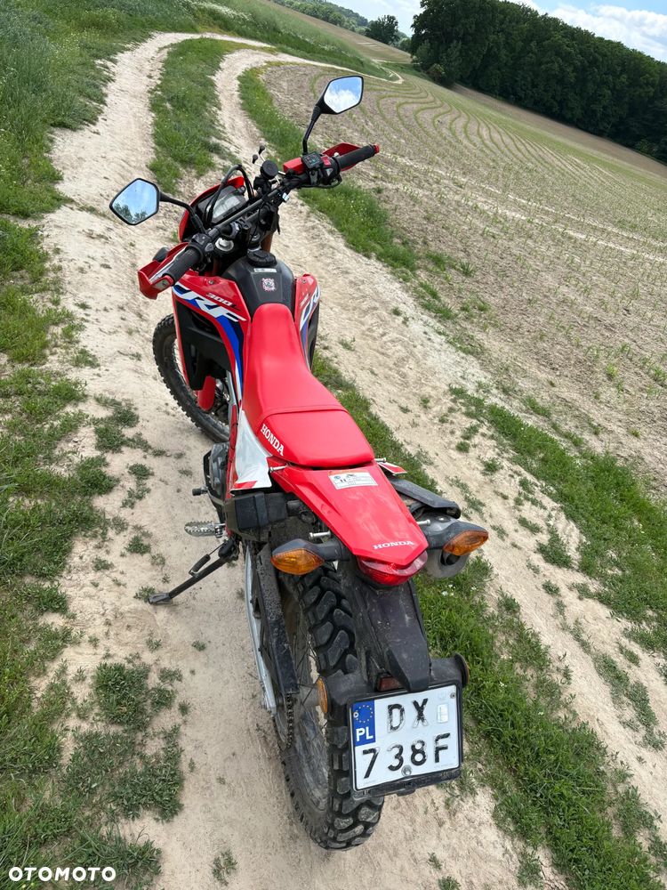 Honda CRF - 6