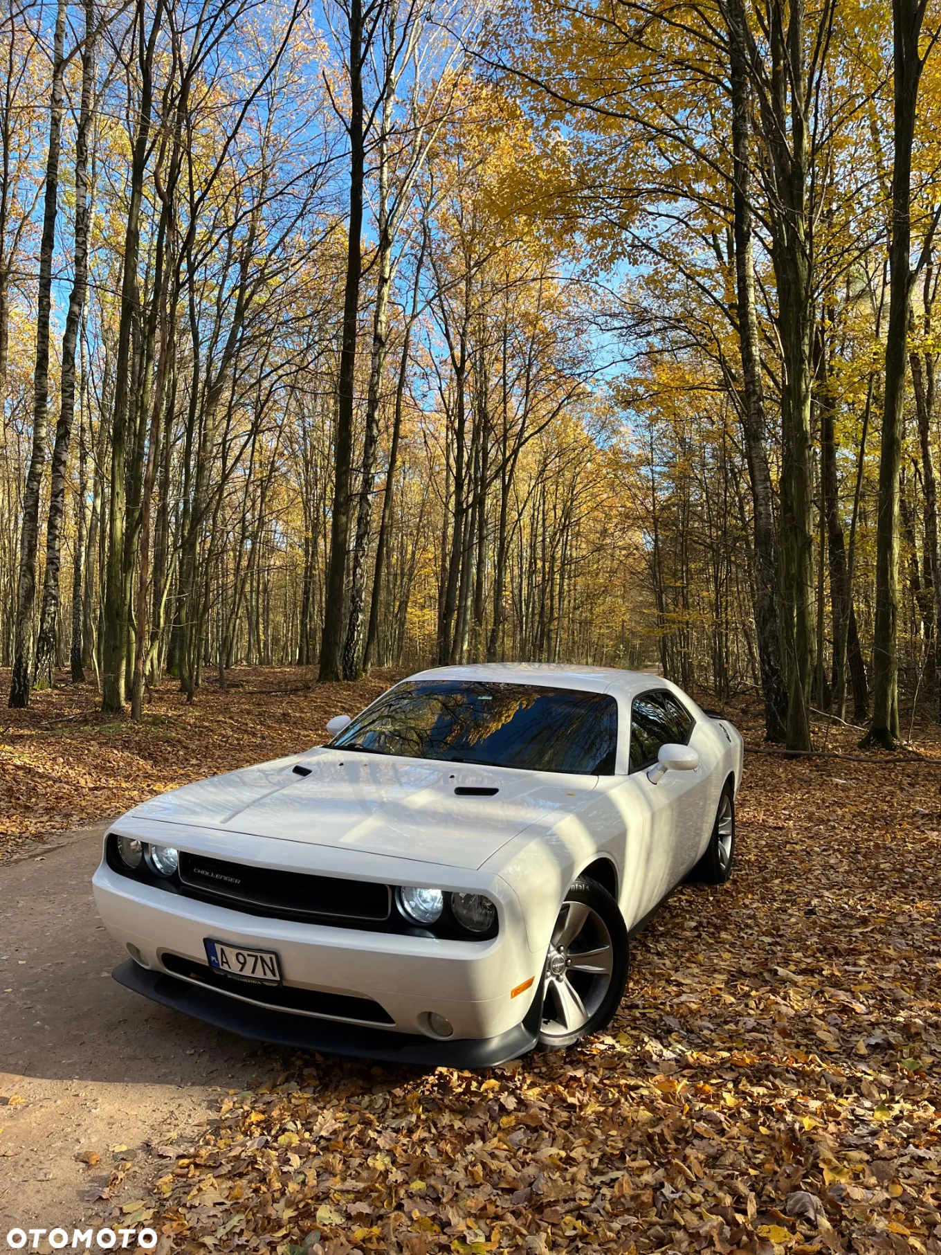 Dodge Challenger Automatik SXT Plus - 2