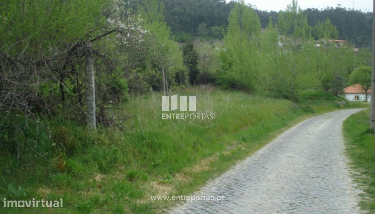 Venda Terreno, junto à estrada, Penha Longa, Marco de Canavesess - Grande imagem: 5/7