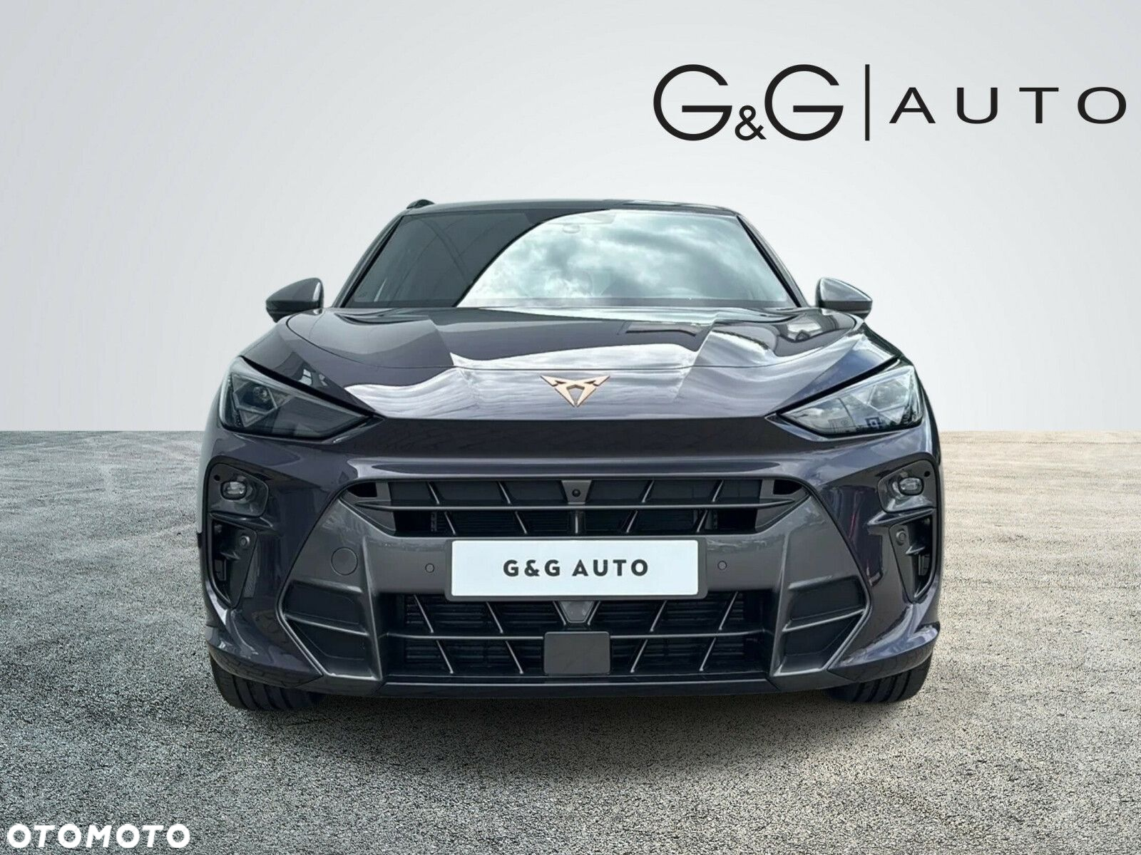 Cupra Terramar - 2