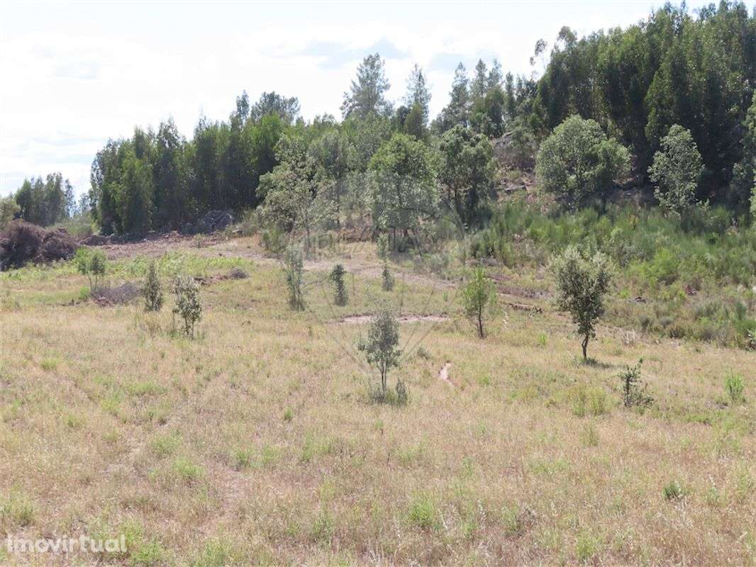 Quinta  para venda - Grande imagem: 4/22