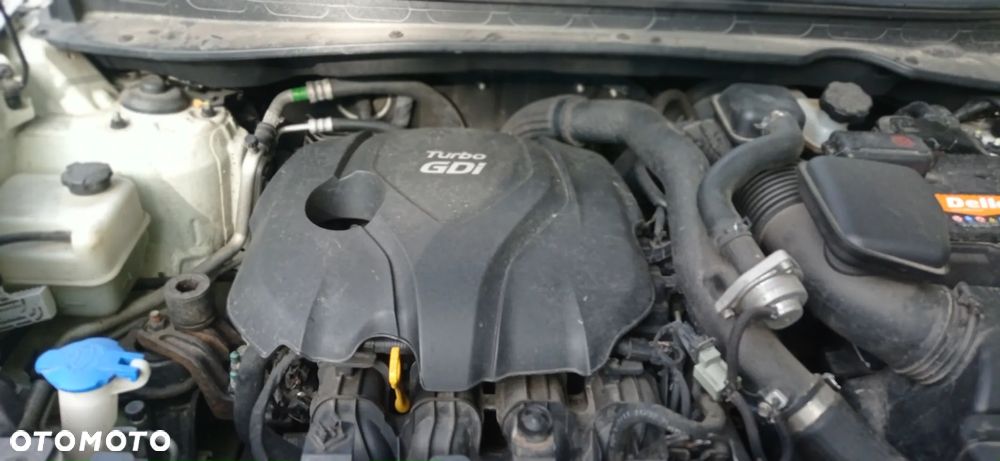 Kia Sportage - 14