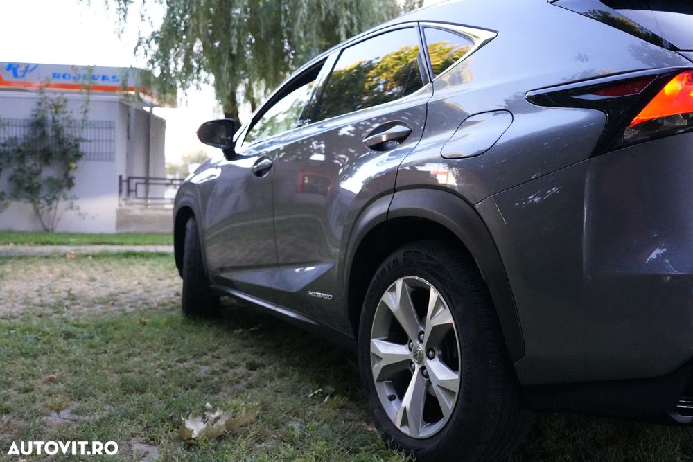 Lexus Seria NX 300h AWD Luxury - 17