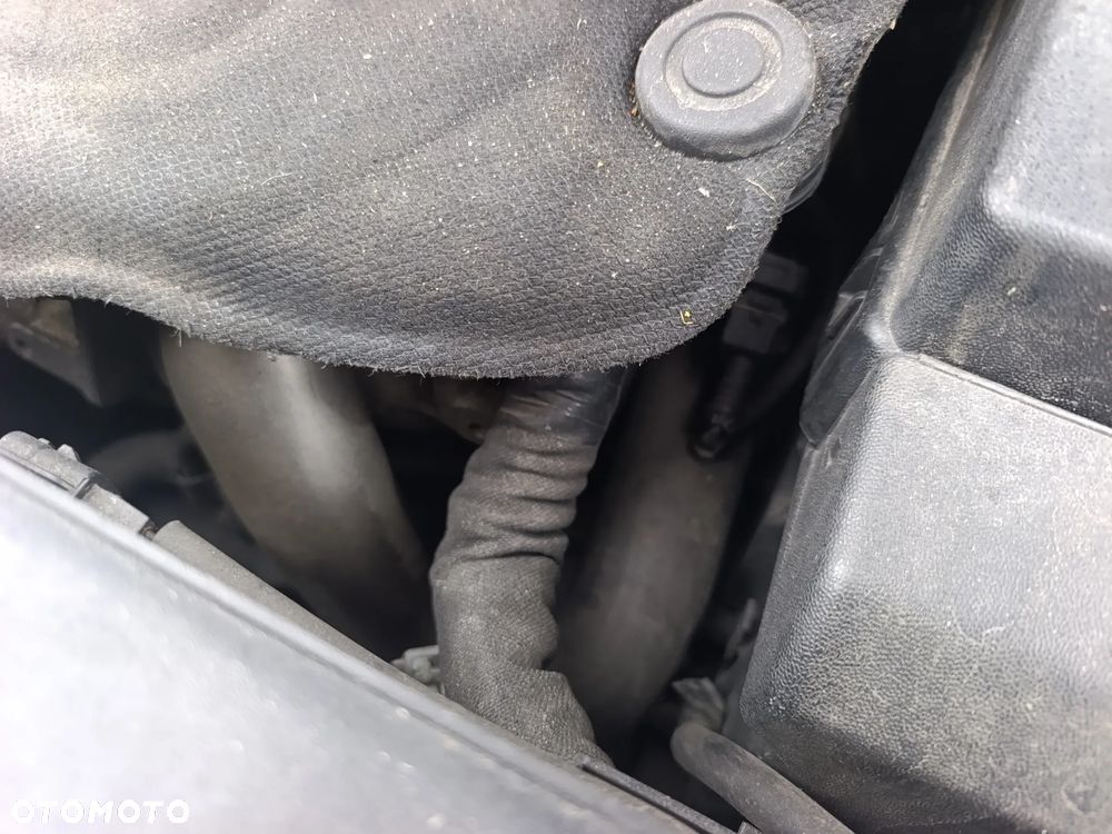 Renault Scenic 2010 photo 4