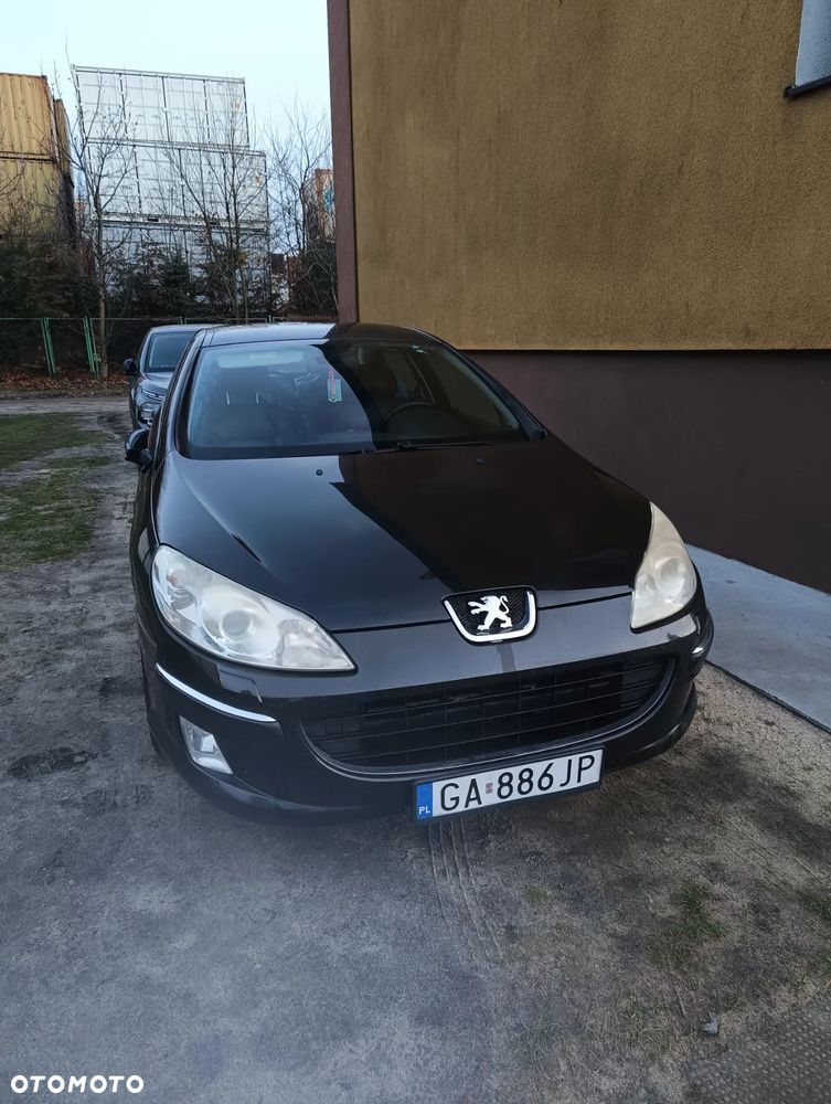 Peugeot 407 - 12